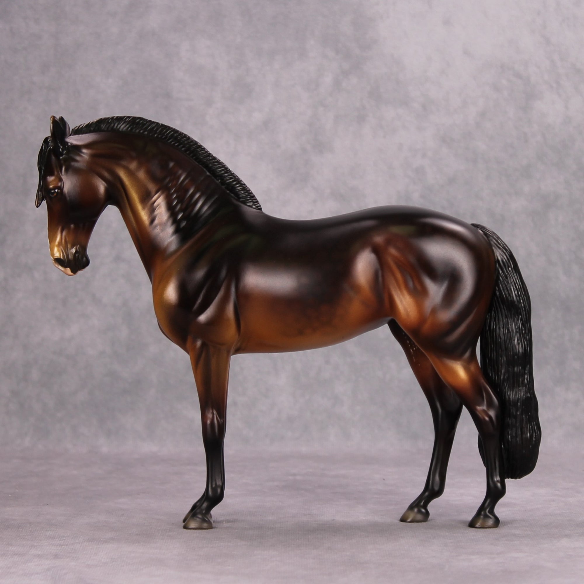 Maxx OOAK Dappled Bay Andalusian By Dawn Quick MM24
