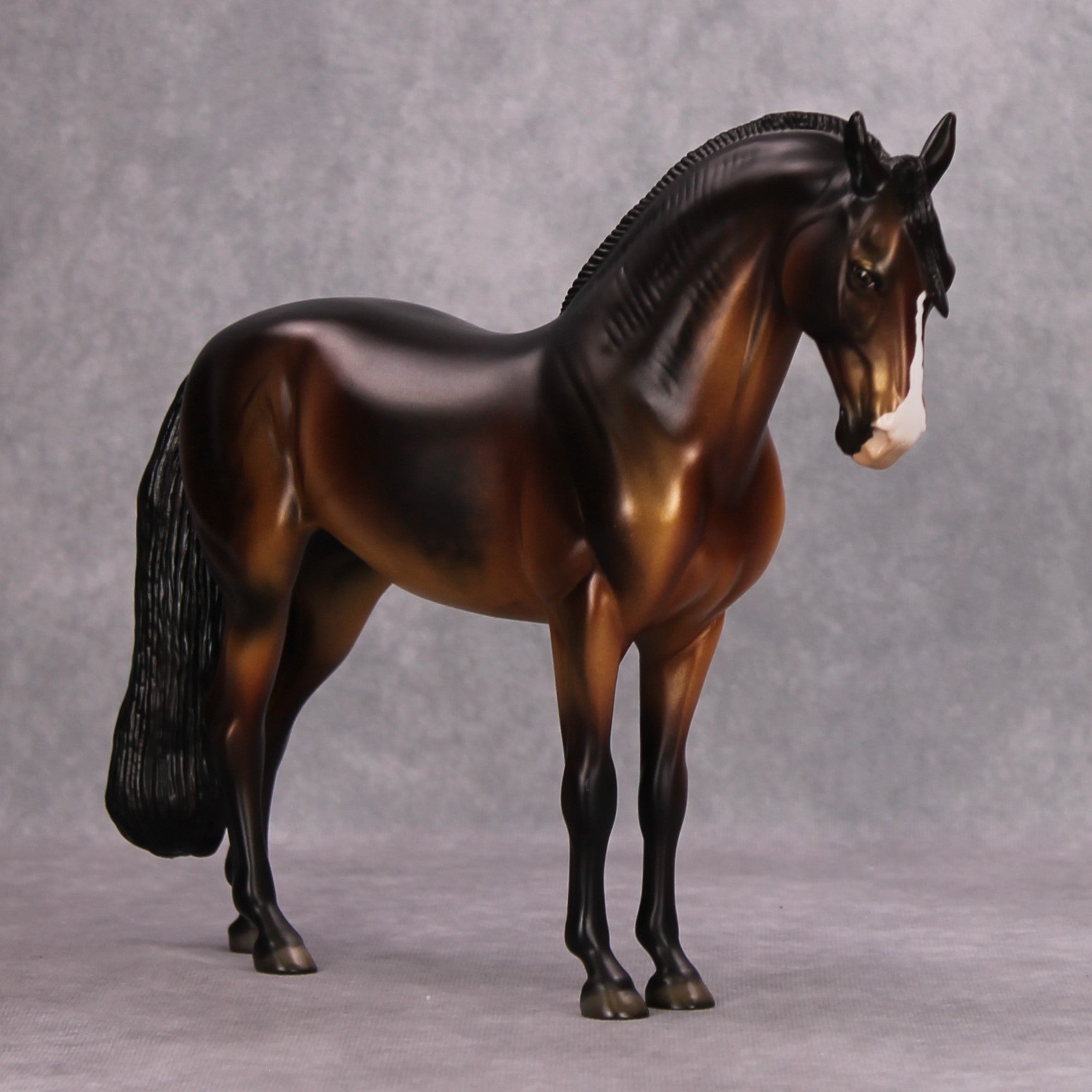 Maxx OOAK Dappled Bay Andalusian By Dawn Quick MM24