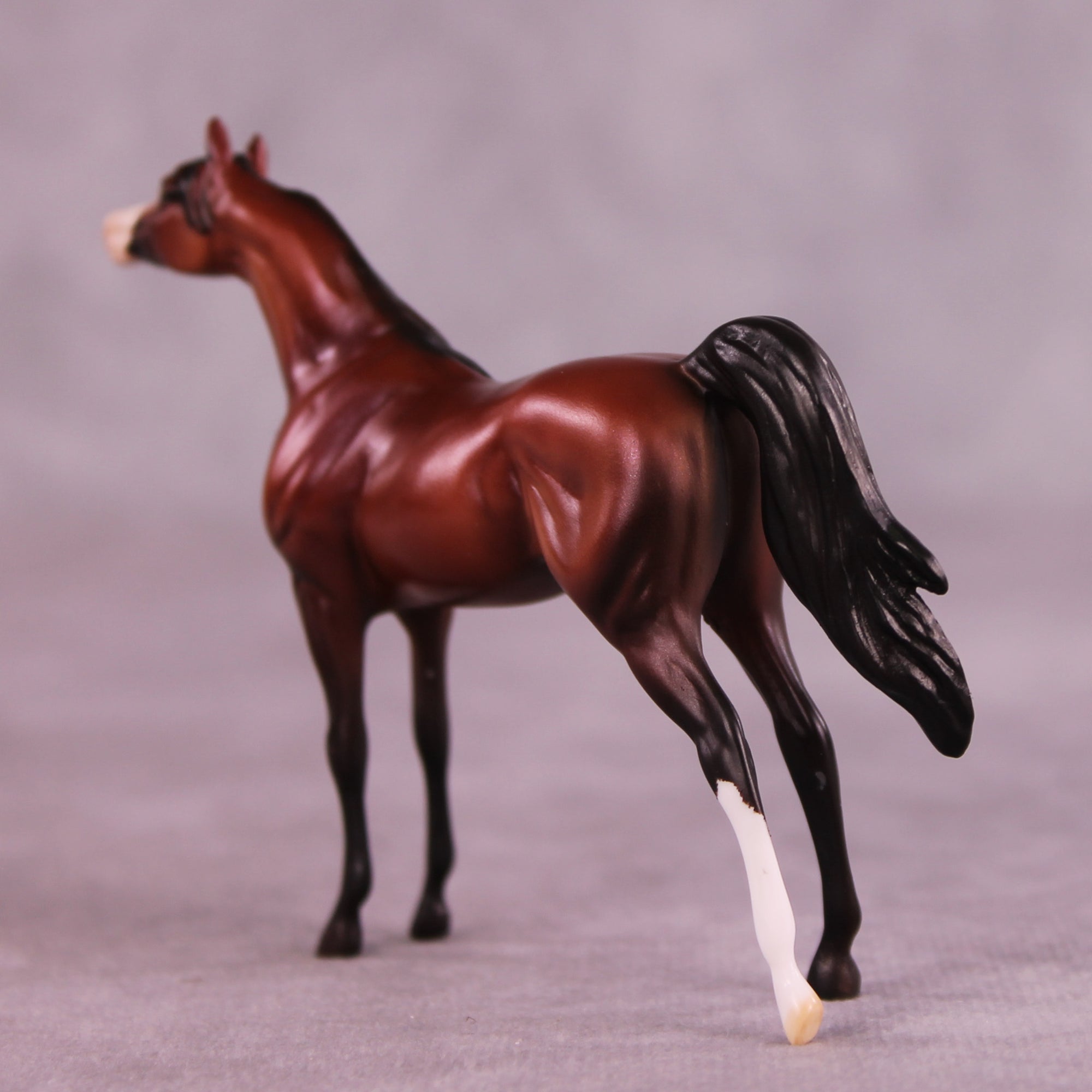 Hansberry OOAK Arabian Chip by Dawn Quick LHS25