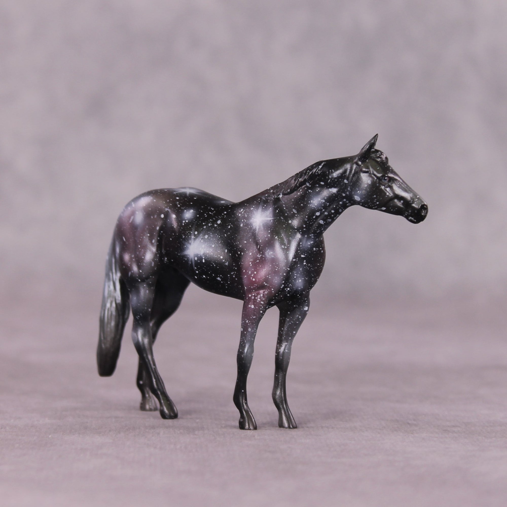 "Hubble" OOAK Thoroughbred Chip by Kike Duarte SHCF25