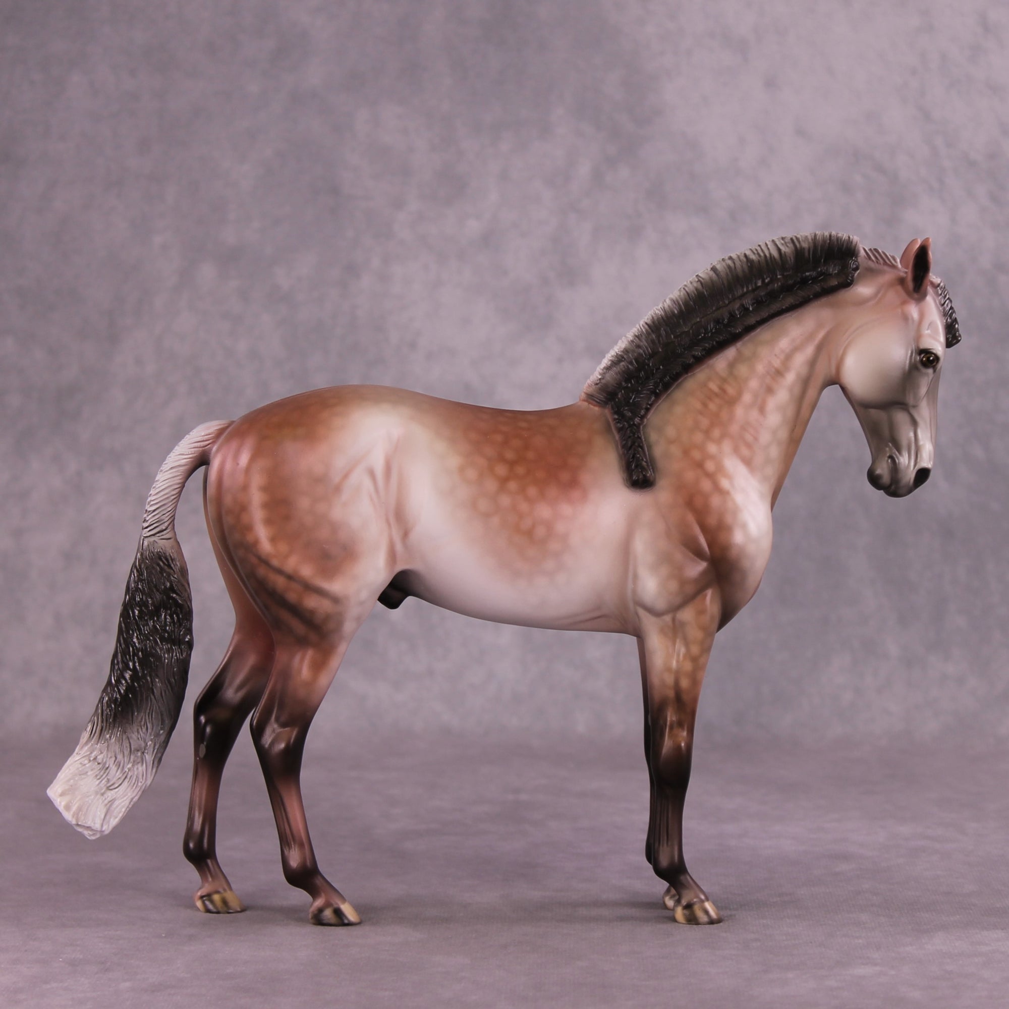 "Prized Petals" or "Among Rose Blossoms" FCM Andalusian By Dawn Quick June Flower Series FS25