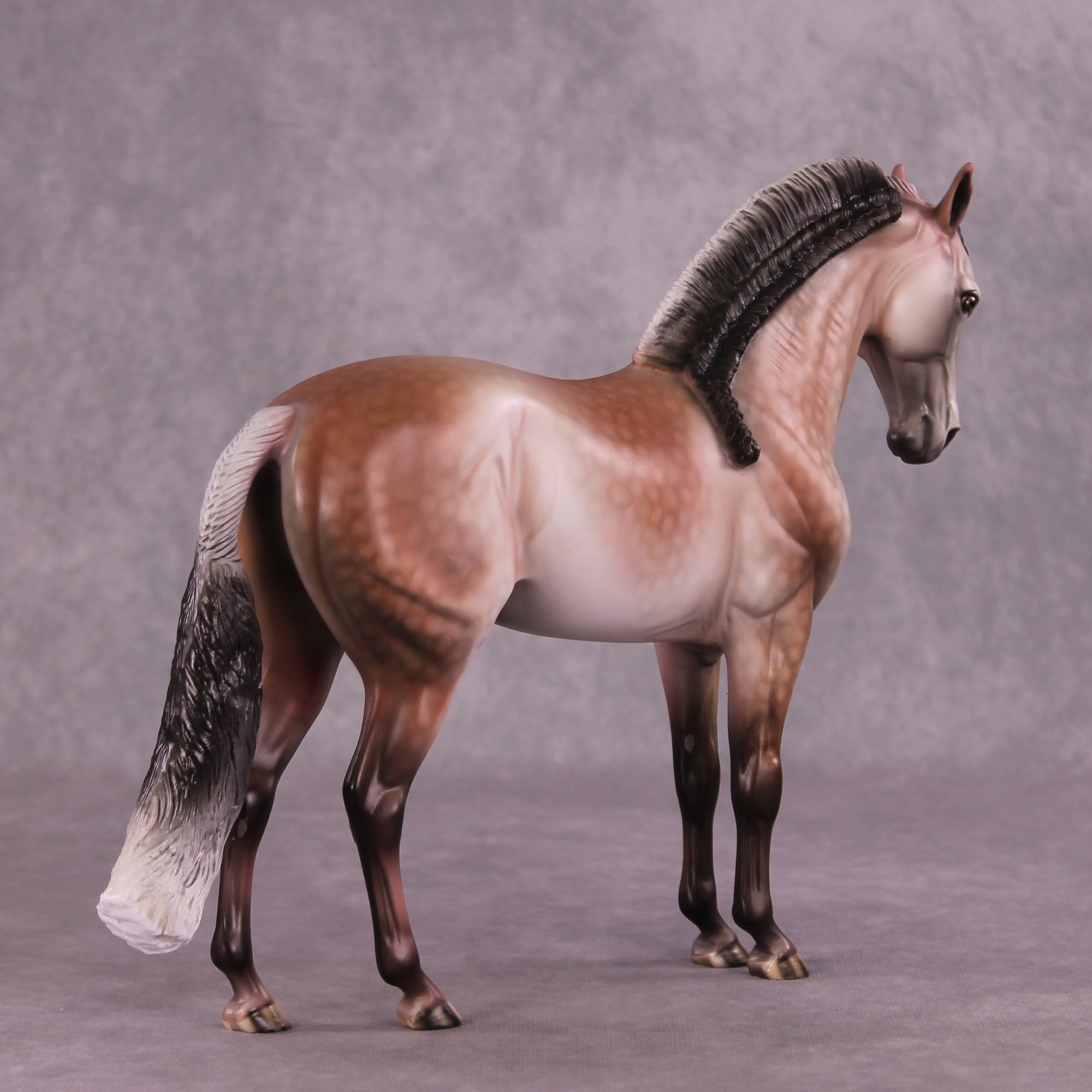 "Prized Petals" or "Among Rose Blossoms" FCM Andalusian By Dawn Quick June Flower Series FS25