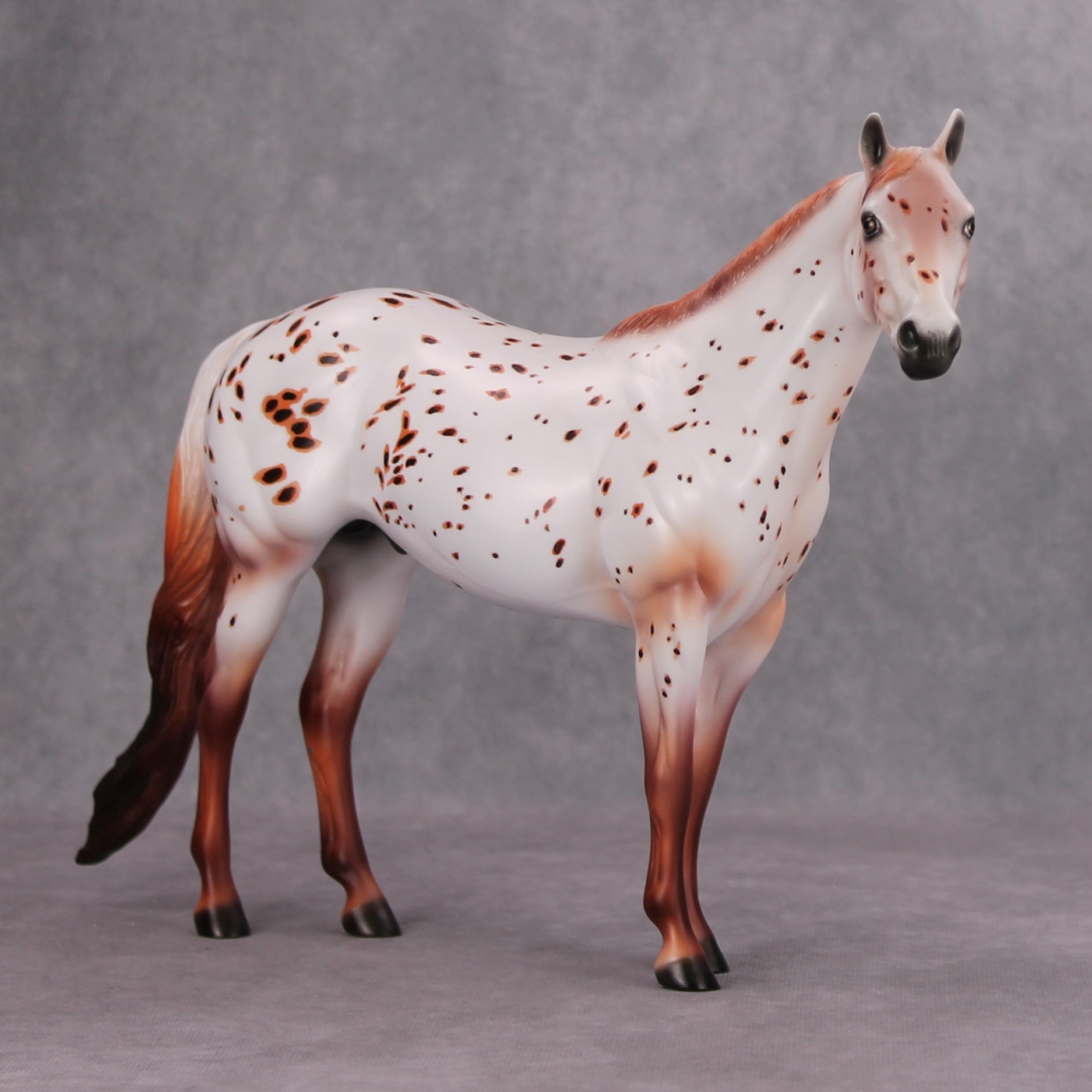 Firework OOAK Chestnut Leopard Appy ISH By Dawn Quick MM24