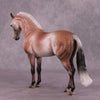 &quot;Prized Petals&quot; or &quot;Among Rose Blossoms&quot; FCM Andalusian By Dawn Quick June Flower Series FS25