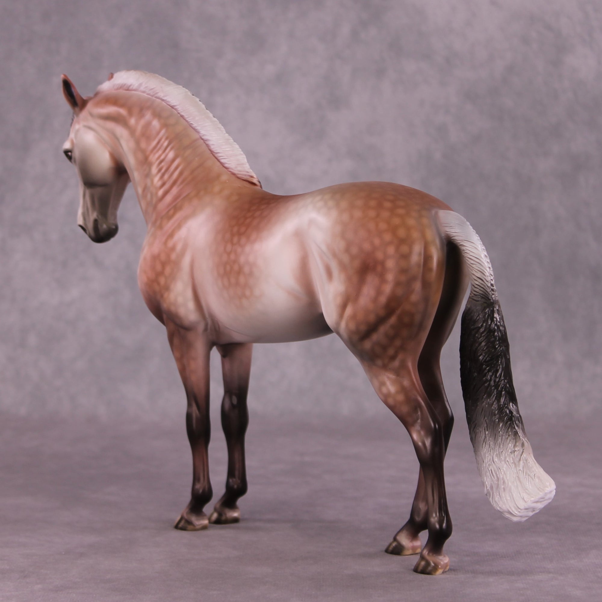"Prized Petals" or "Among Rose Blossoms" FCM Andalusian By Dawn Quick June Flower Series FS25