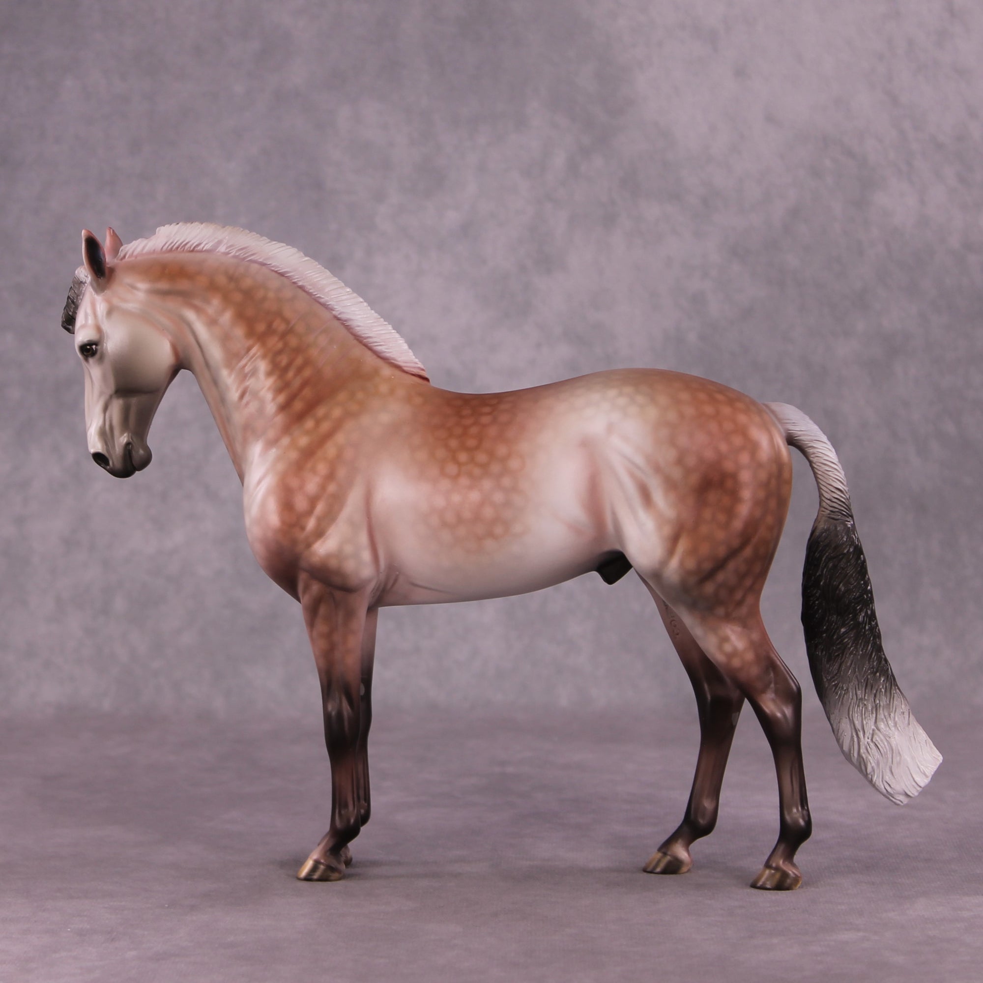 "Prized Petals" or "Among Rose Blossoms" FCM Andalusian By Dawn Quick June Flower Series FS25