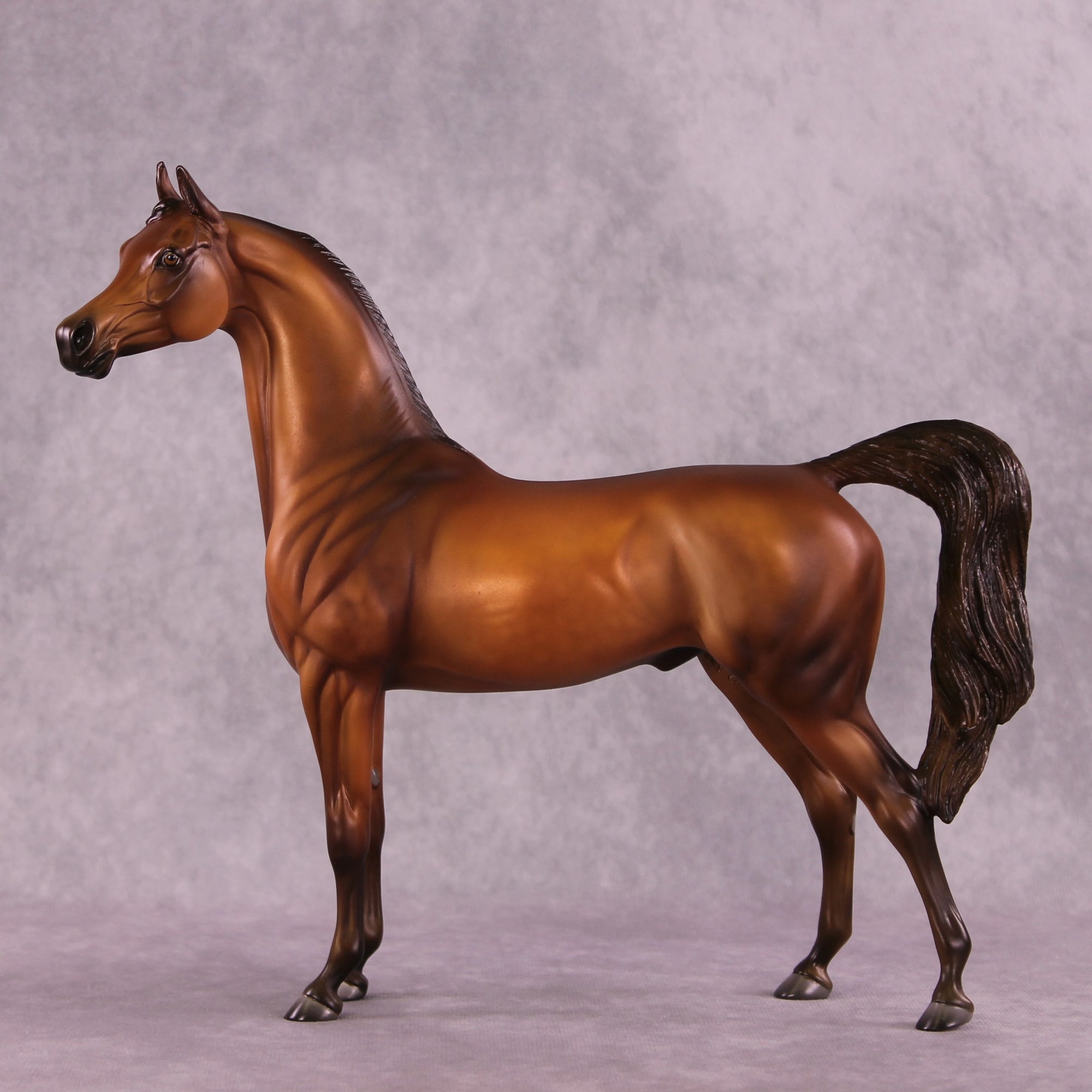 Sepia OOAK Arabian by Julie Keim EQ25