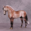 &quot;Prized Petals&quot; or &quot;Among Rose Blossoms&quot; FCM Andalusian By Dawn Quick June Flower Series FS25