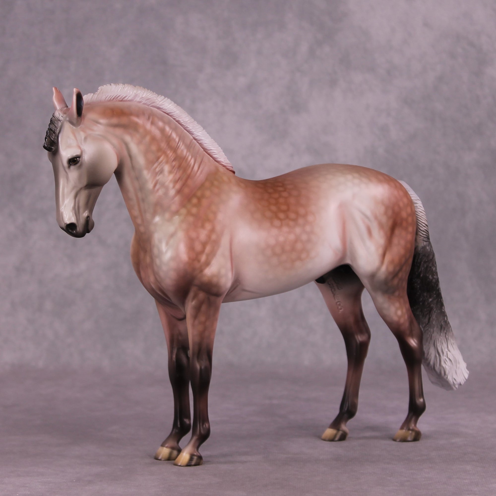 "Prized Petals" or "Among Rose Blossoms" FCM Andalusian By Dawn Quick June Flower Series FS25