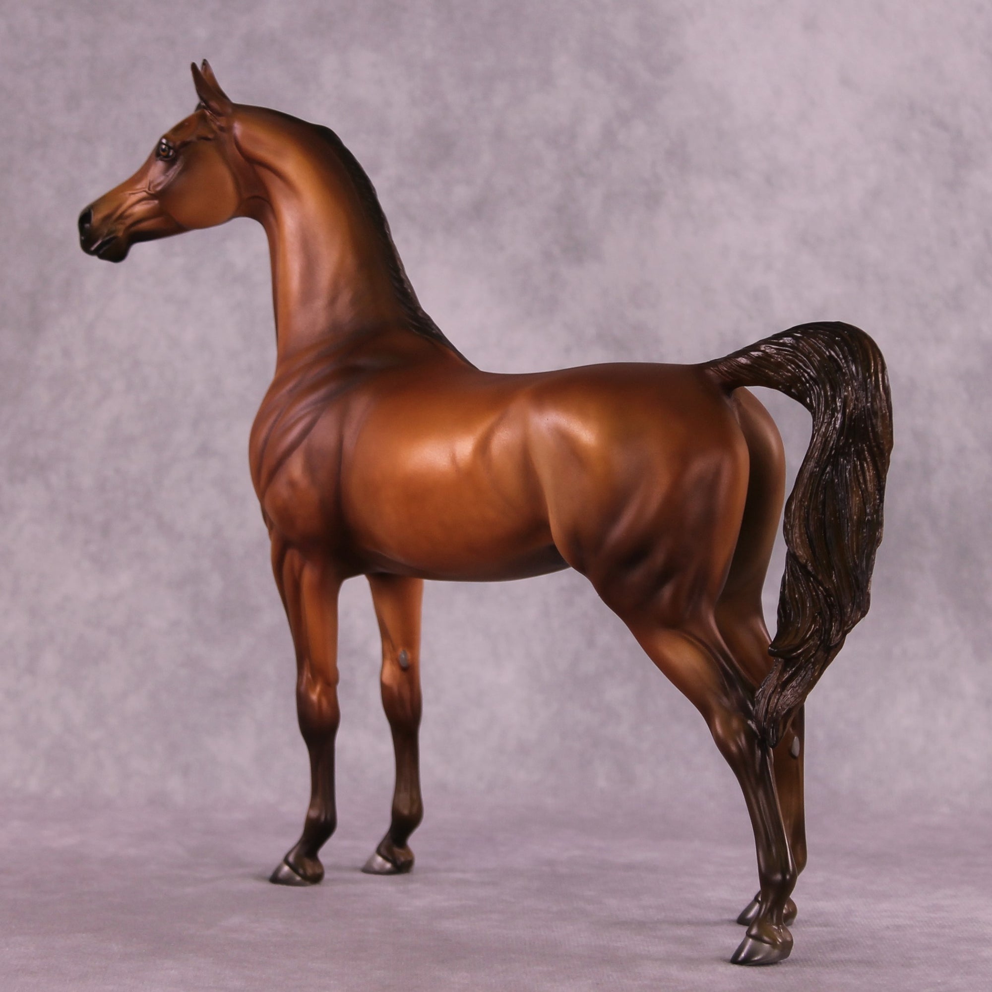 Sepia OOAK Arabian by Julie Keim EQ25