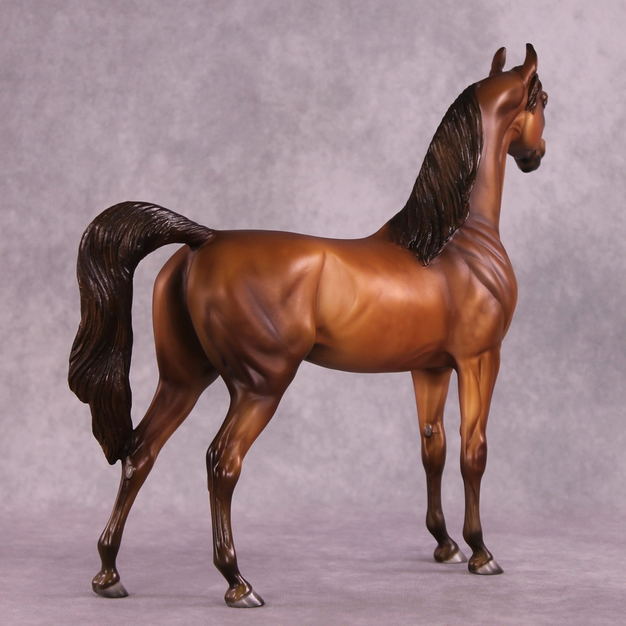 Sepia OOAK Arabian by Julie Keim EQ25