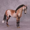 &quot;Prized Petals&quot; or &quot;Among Rose Blossoms&quot; FCM Andalusian By Dawn Quick June Flower Series FS25