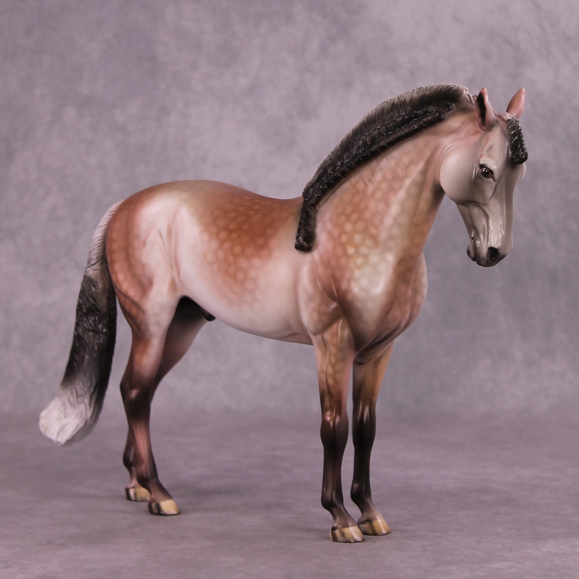 "Prized Petals" or "Among Rose Blossoms" FCM Andalusian By Dawn Quick June Flower Series FS25