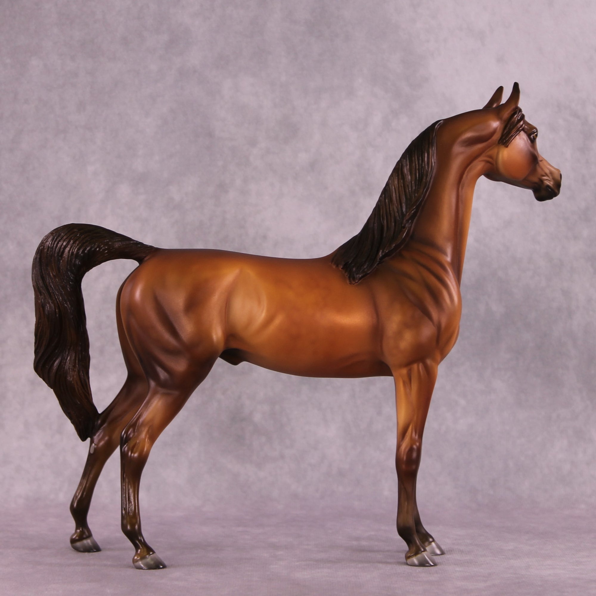 Sepia OOAK Arabian by Julie Keim EQ25