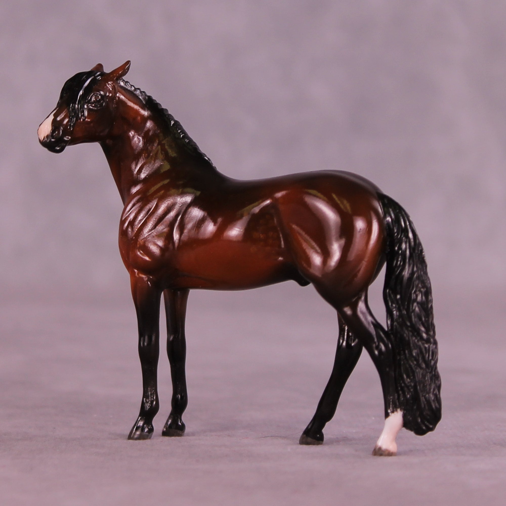 Slayton OOAK EFCM Chip Andalusian by Maggie Jenner-Bennett MM25