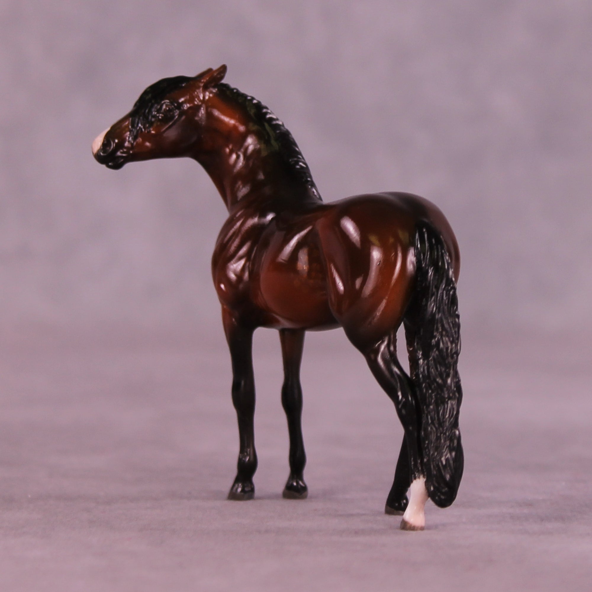 Slayton OOAK EFCM Chip Andalusian by Maggie Jenner-Bennett MM25