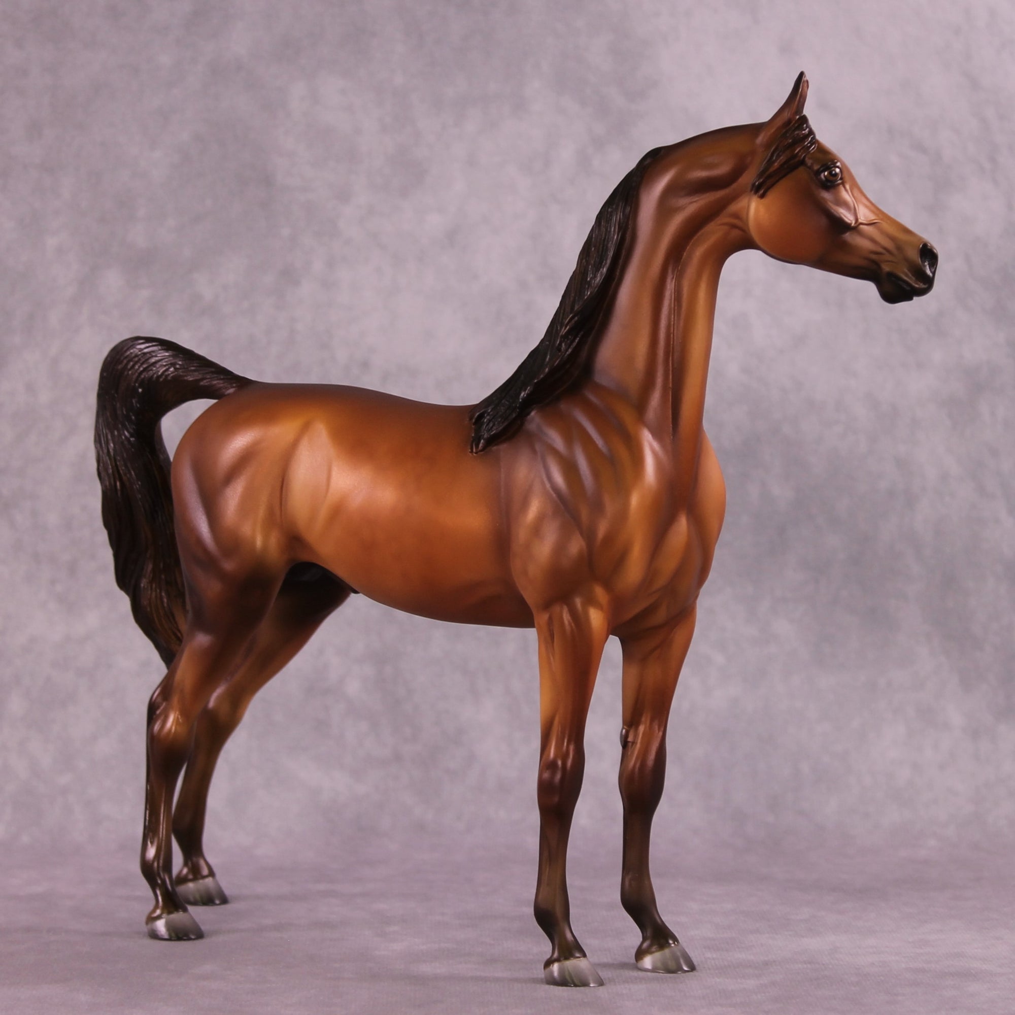 Sepia OOAK Arabian by Julie Keim EQ25