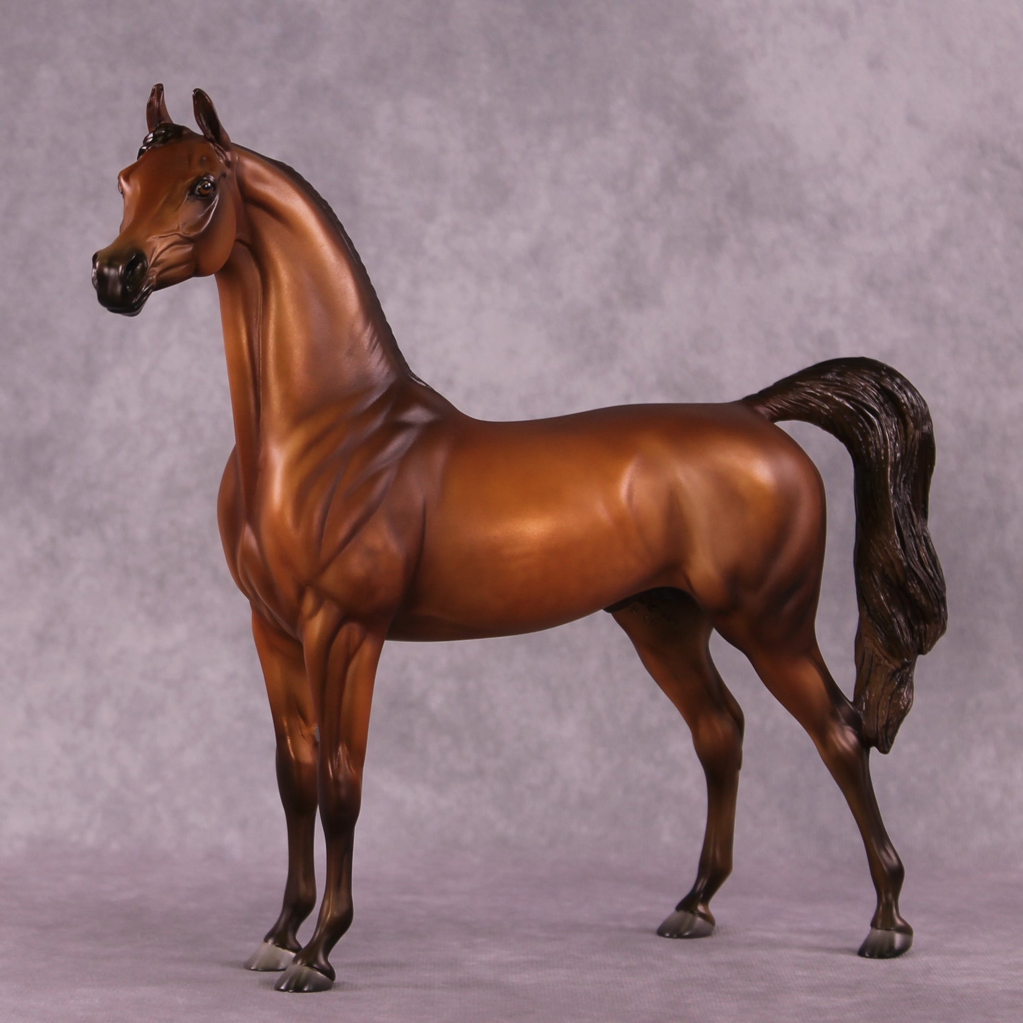 Sepia OOAK Arabian by Julie Keim EQ25