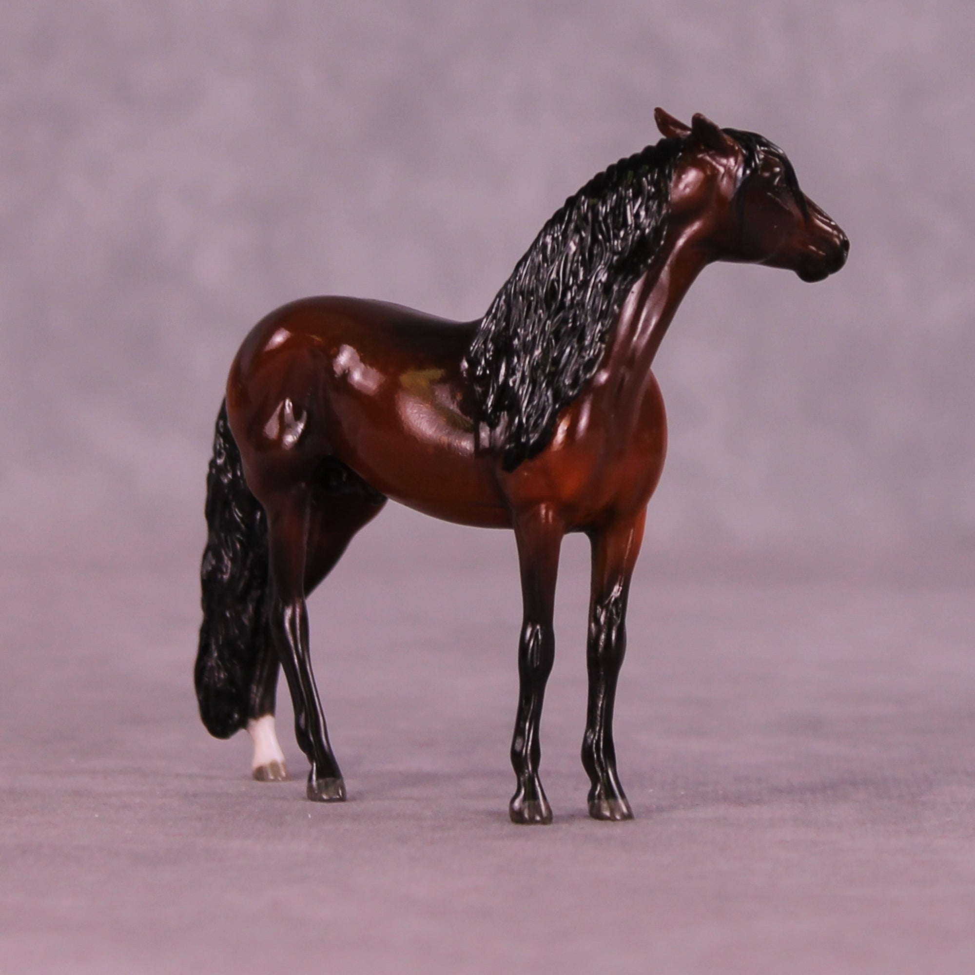 Slayton OOAK EFCM Chip Andalusian by Maggie Jenner-Bennett MM25
