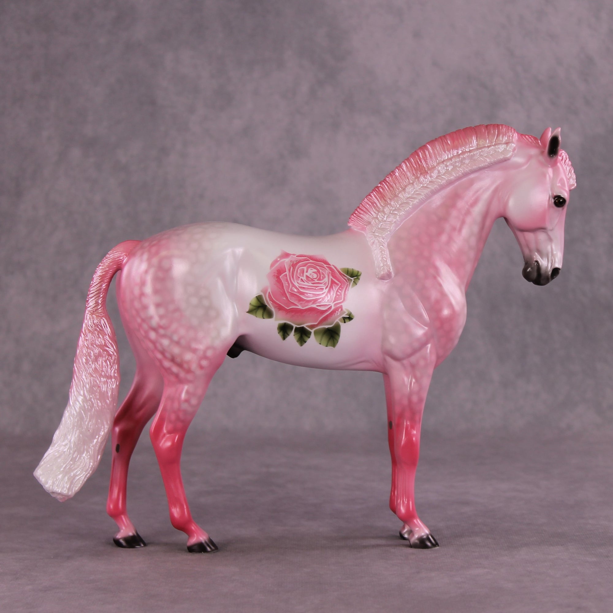 "Prized Petals" or "Among Rose Blossoms" FCM Andalusian By Dawn Quick June Flower Series FS25