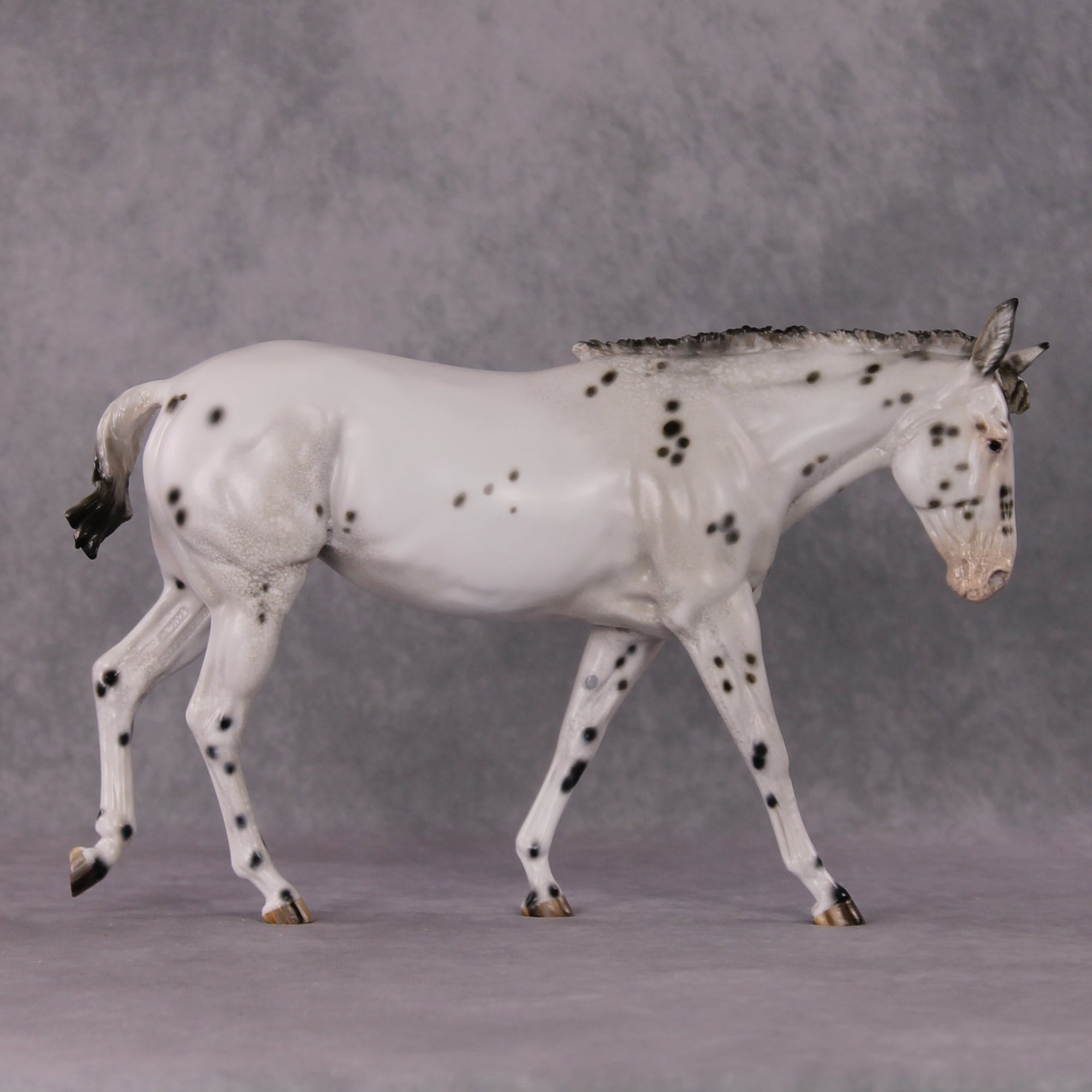 "Spot Me Purdy" OOAK Custom Appaloosa Mule By Tiffany Purdy - GemStone Series