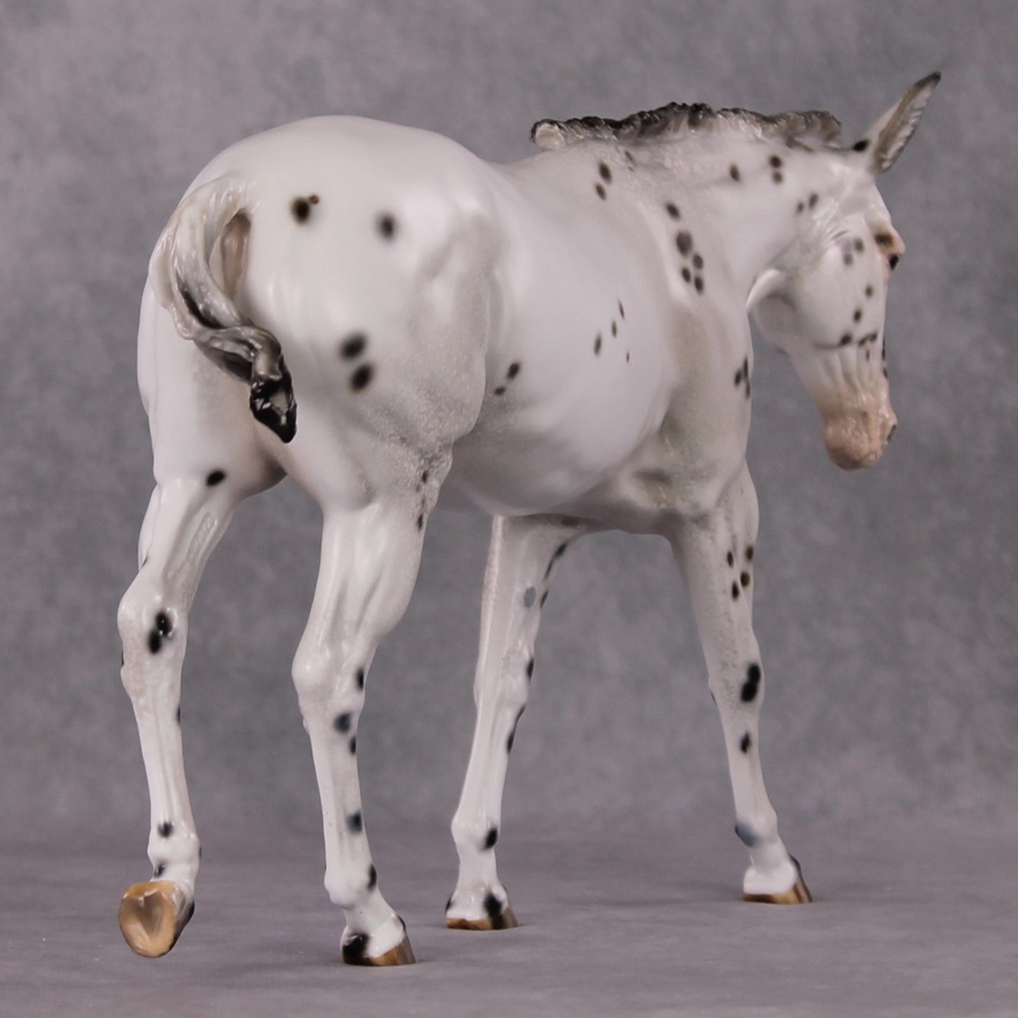 "Spot Me Purdy" OOAK Custom Appaloosa Mule By Tiffany Purdy - GemStone Series