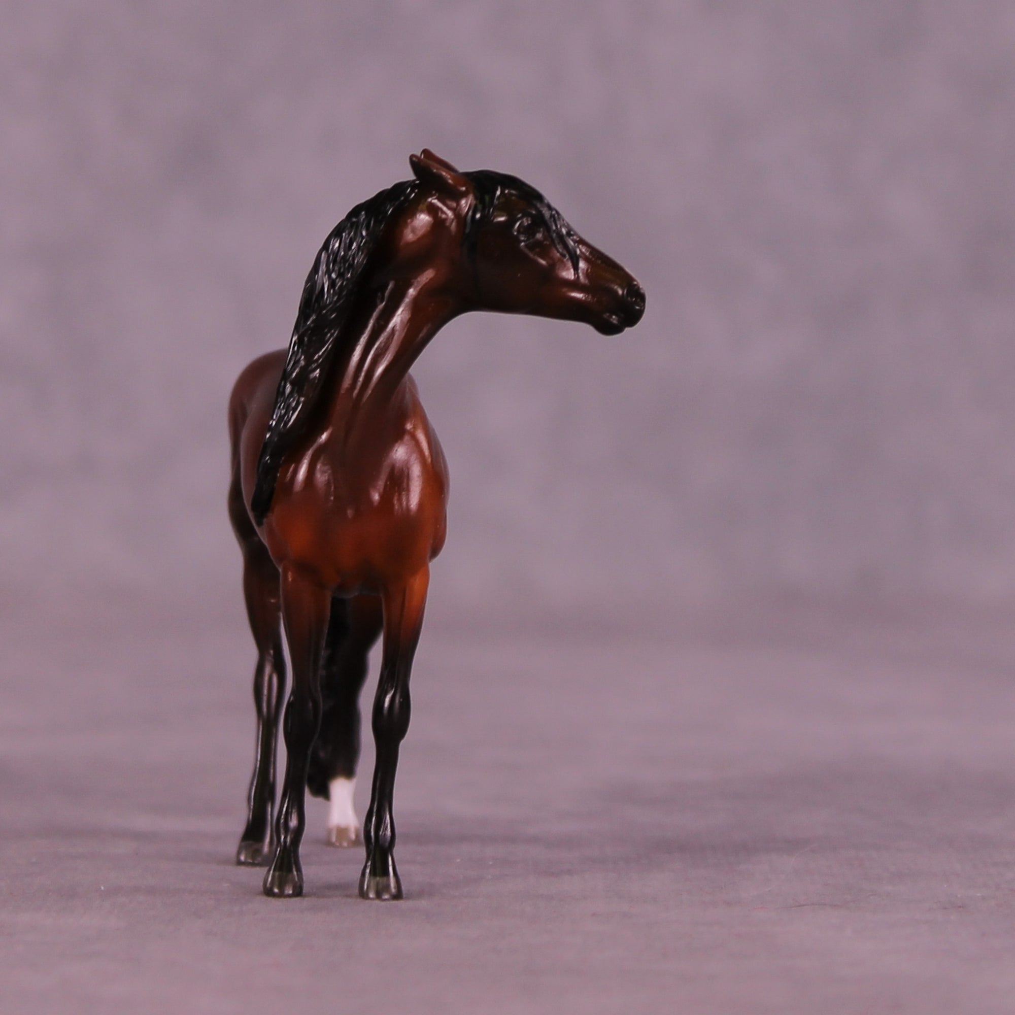Slayton OOAK EFCM Chip Andalusian by Maggie Jenner-Bennett MM25