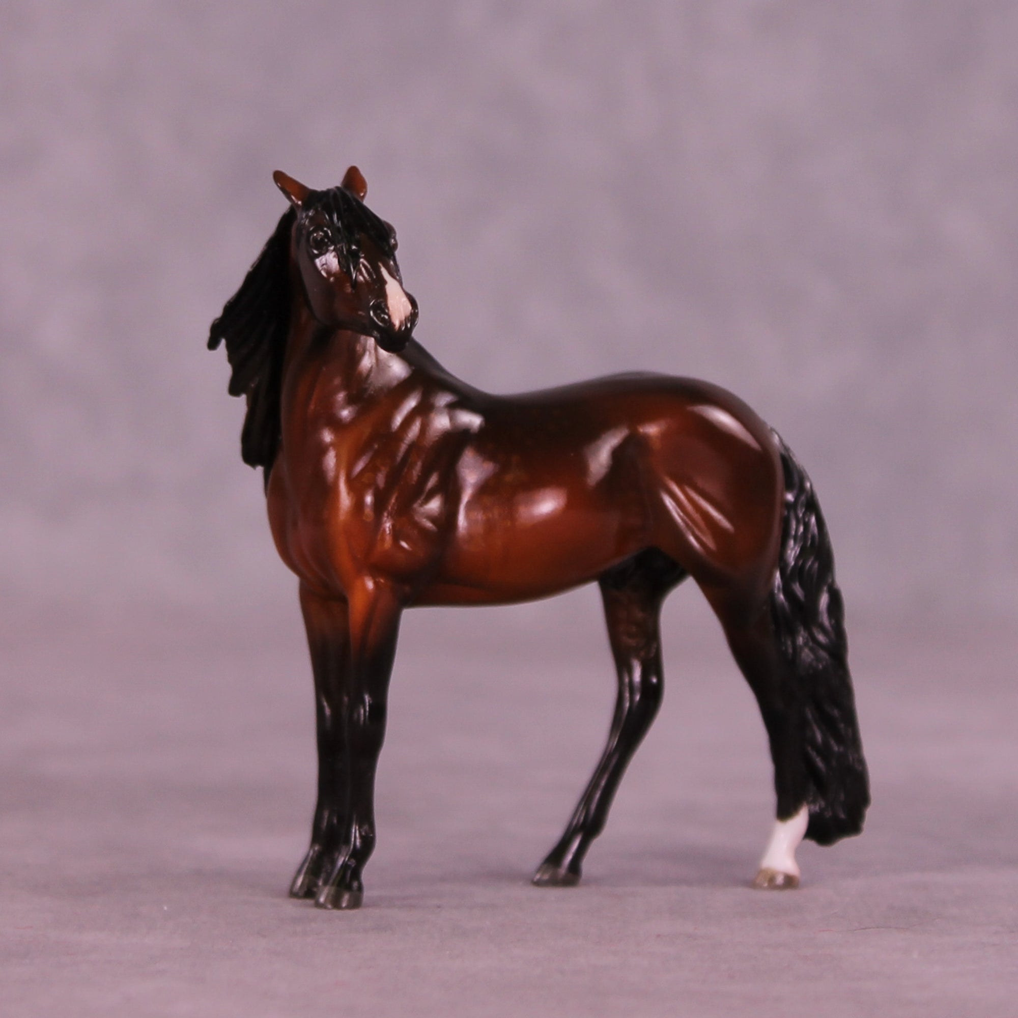 Slayton OOAK EFCM Chip Andalusian by Maggie Jenner-Bennett MM25