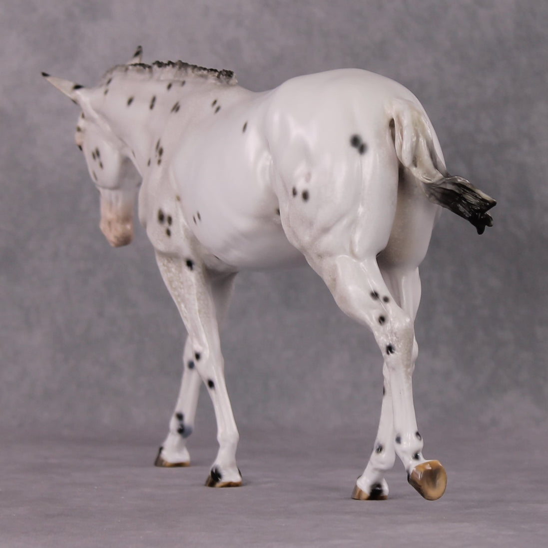 "Spot Me Purdy" OOAK Custom Appaloosa Mule By Tiffany Purdy - GemStone Series