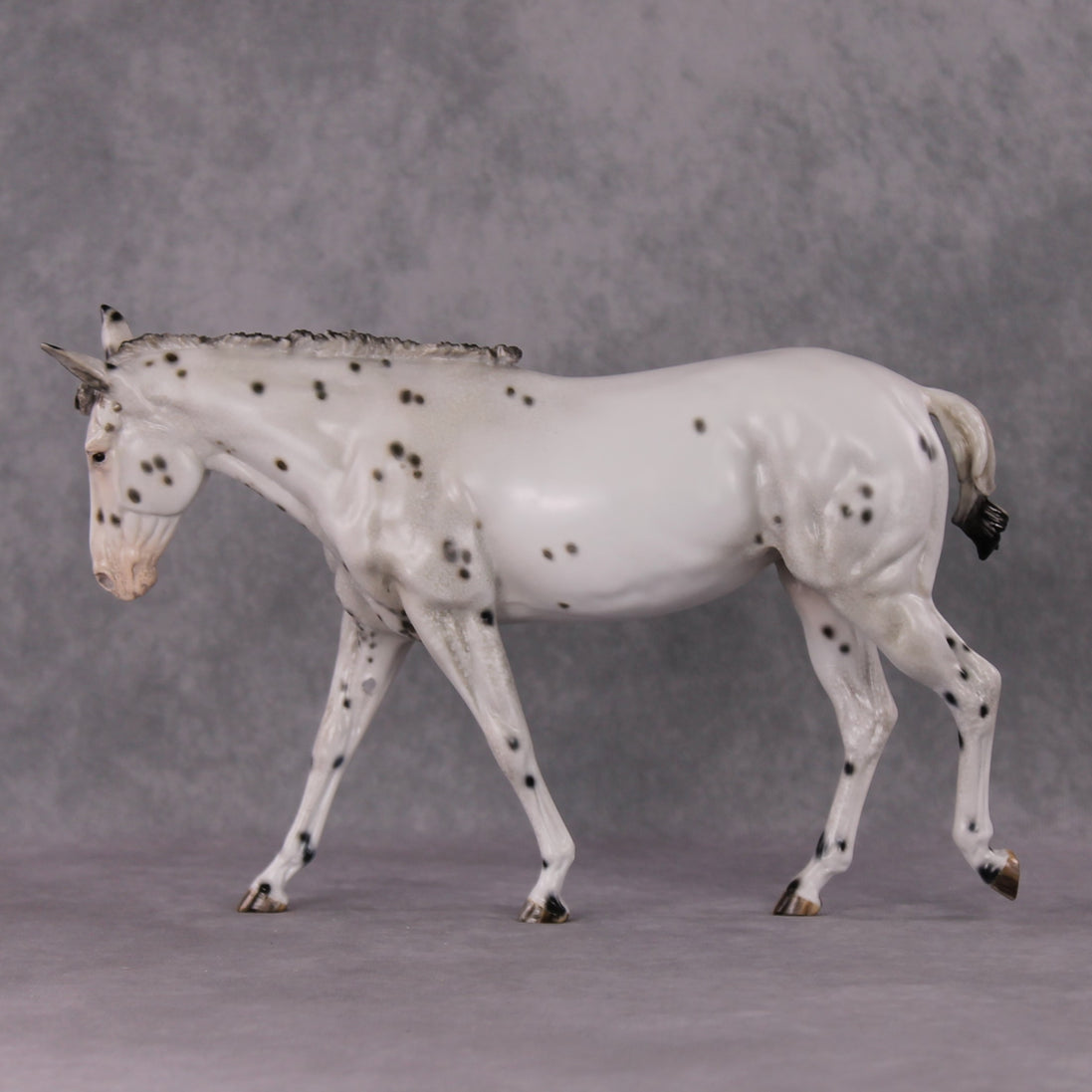 "Spot Me Purdy" OOAK Custom Appaloosa Mule By Tiffany Purdy - GemStone Series