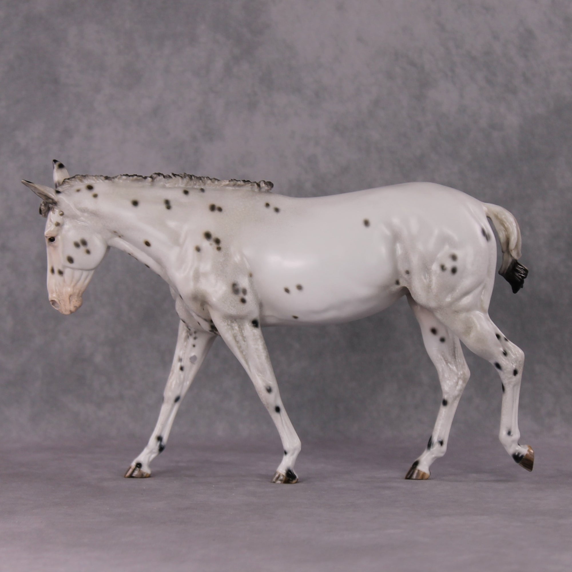 "Spot Me Purdy" OOAK Custom Appaloosa Mule By Tiffany Purdy - GemStone Series