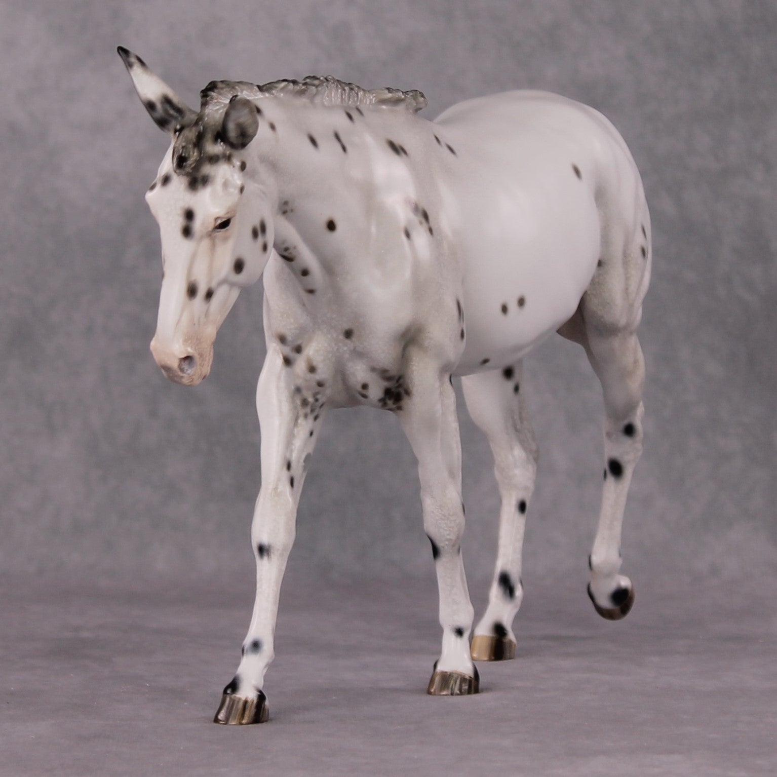 "Spot Me Purdy" OOAK Custom Appaloosa Mule By Tiffany Purdy - GemStone Series