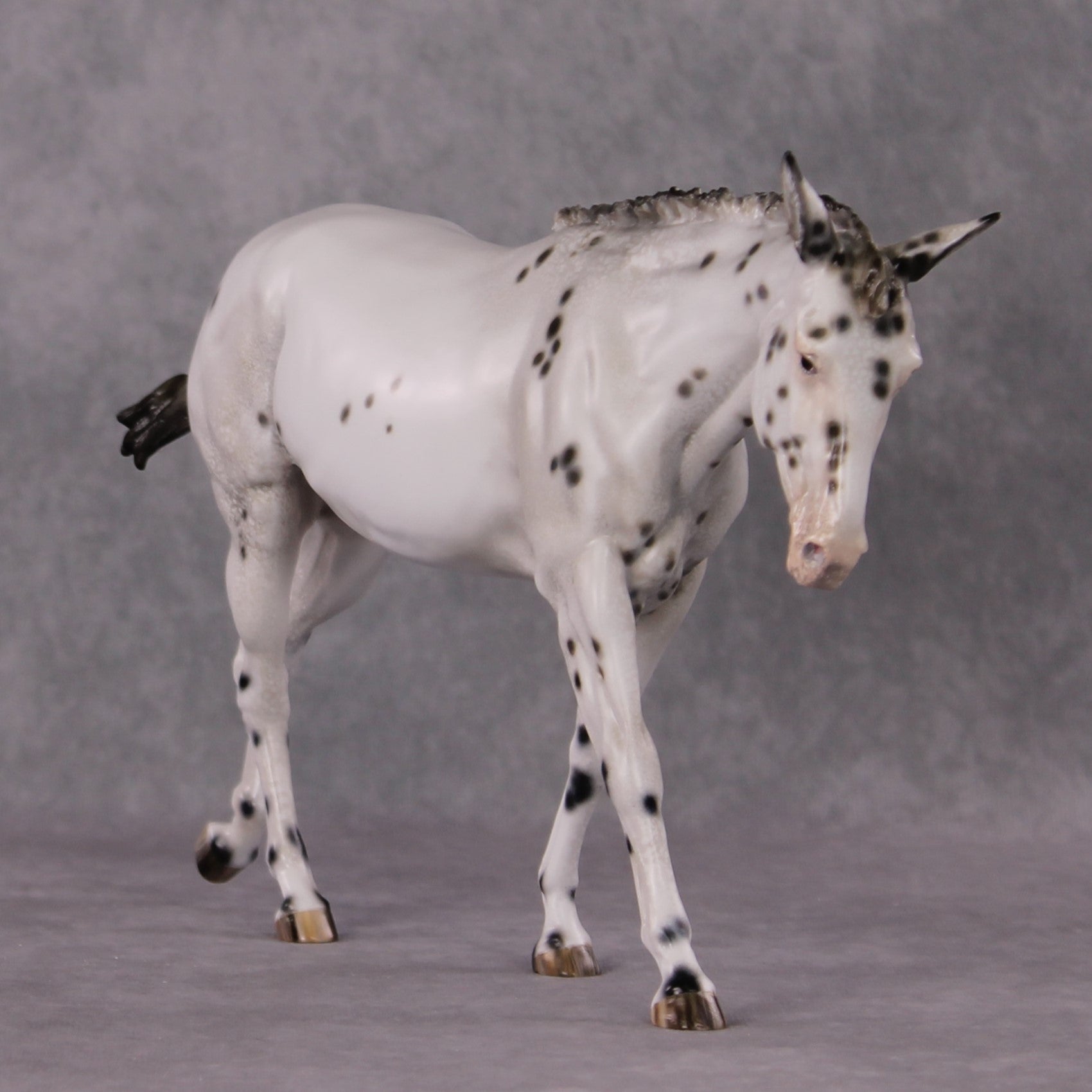"Spot Me Purdy" OOAK Custom Appaloosa Mule By Tiffany Purdy - GemStone Series