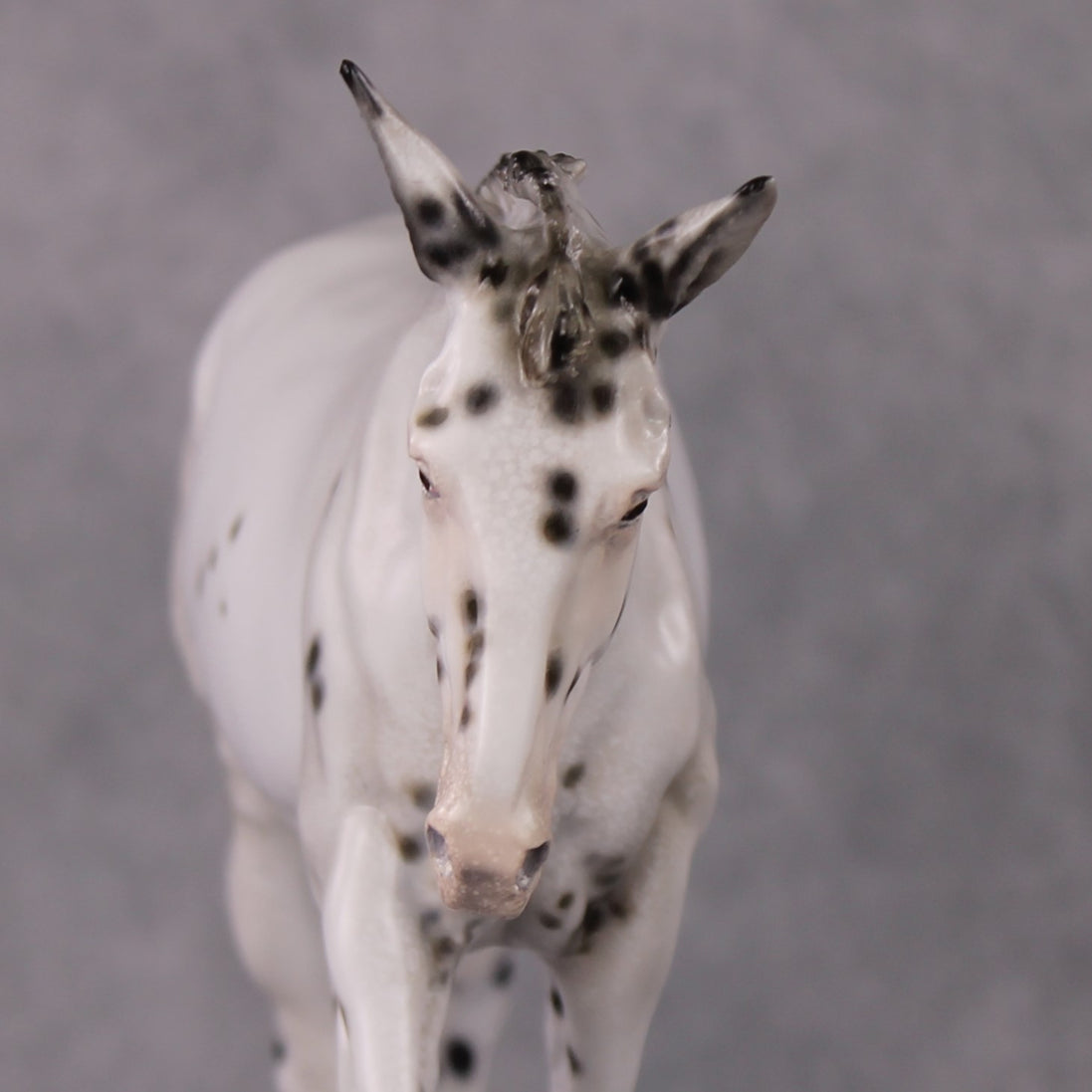 "Spot Me Purdy" OOAK Custom Appaloosa Mule By Tiffany Purdy - GemStone Series