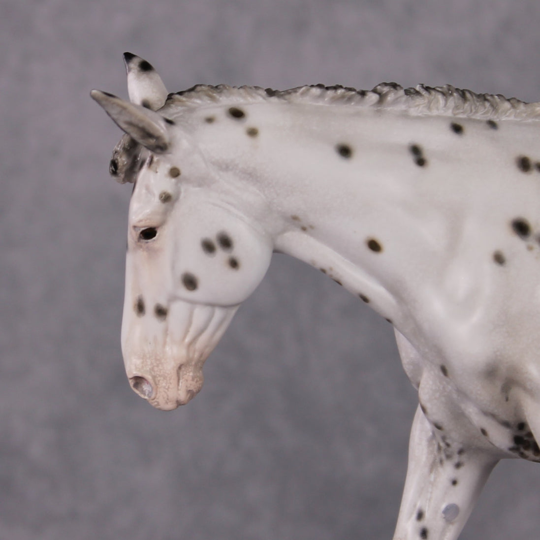 "Spot Me Purdy" OOAK Custom Appaloosa Mule By Tiffany Purdy - GemStone Series