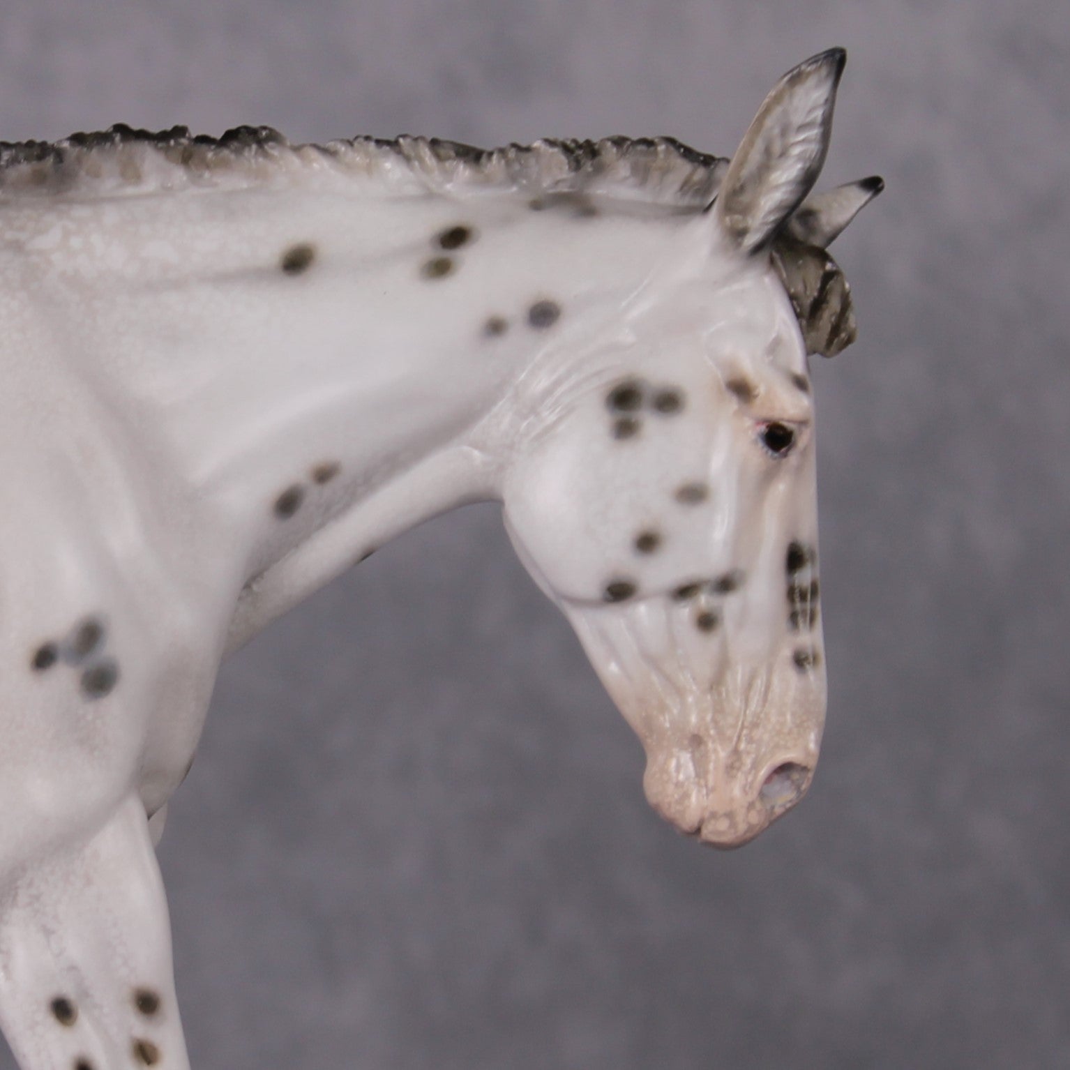 "Spot Me Purdy" OOAK Custom Appaloosa Mule By Tiffany Purdy - GemStone Series