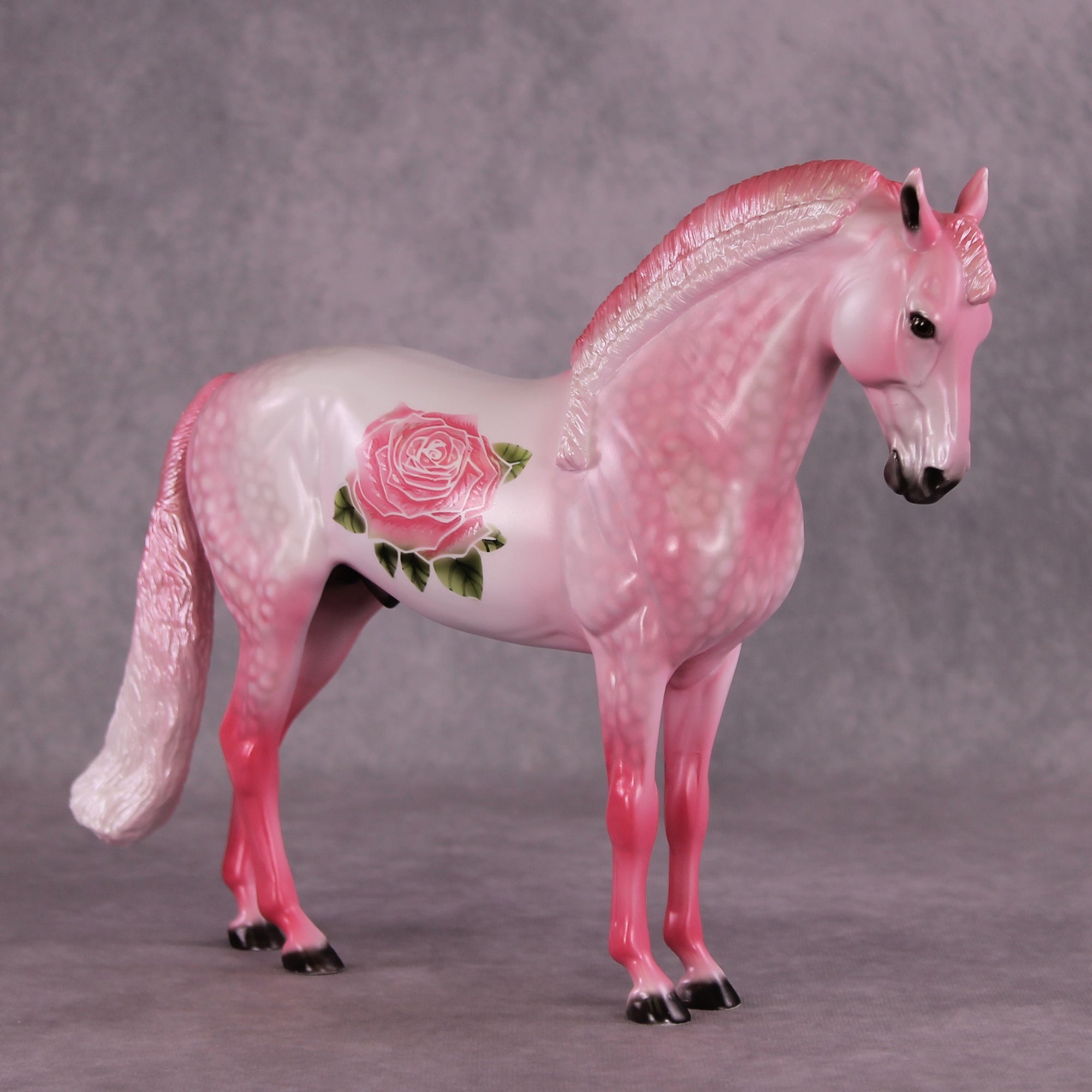 "Prized Petals" or "Among Rose Blossoms" FCM Andalusian By Dawn Quick June Flower Series FS25