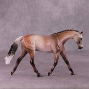 A Rose Is A Rose or Roses In December Pebble Warmblood by Dawn Quick FS25