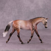 &quot;A Rose Is A Rose&quot; or &quot;Roses In December&quot; Pebble Warmblood By Dawn Quick June Flower Series FS25