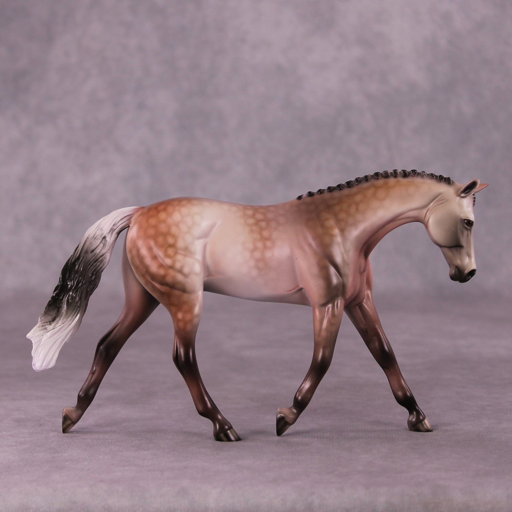 A Rose Is A Rose or Roses In December Pebble Warmblood by Dawn Quick FS25