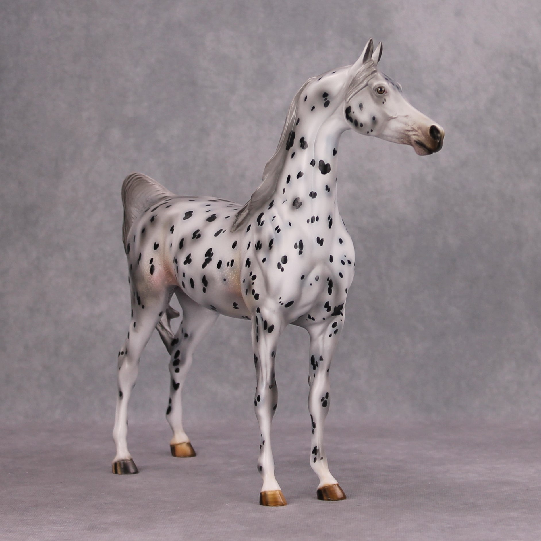 Katts Meow OOAK Black Leopard Appy Arabian By Al Katt MM24