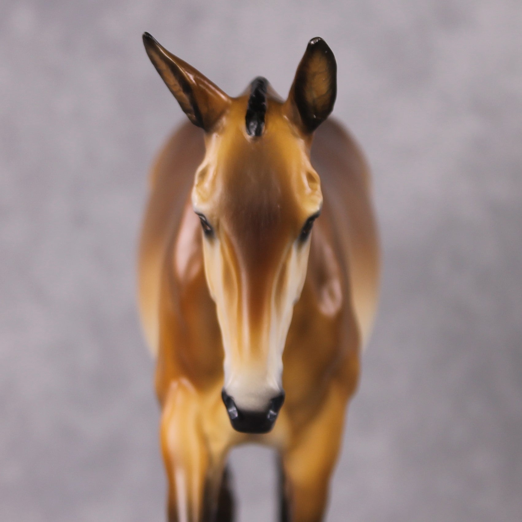 "Private Purdy" OOAK Custom Bay Military Mule By Tiffany Purdy - GemStone Series