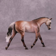 A Rose Is A Rose or Roses In December Pebble Warmblood by Dawn Quick FS25