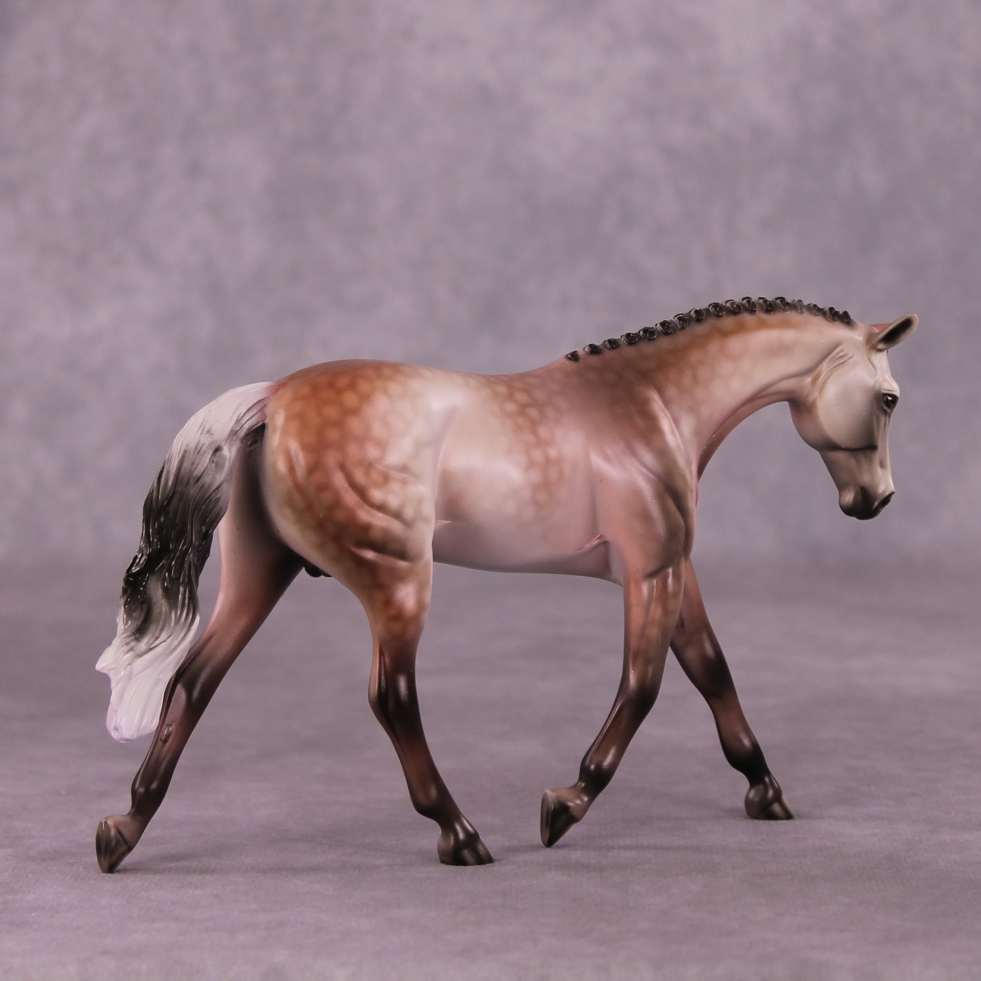 A Rose Is A Rose or Roses In December Pebble Warmblood by Dawn Quick FS25