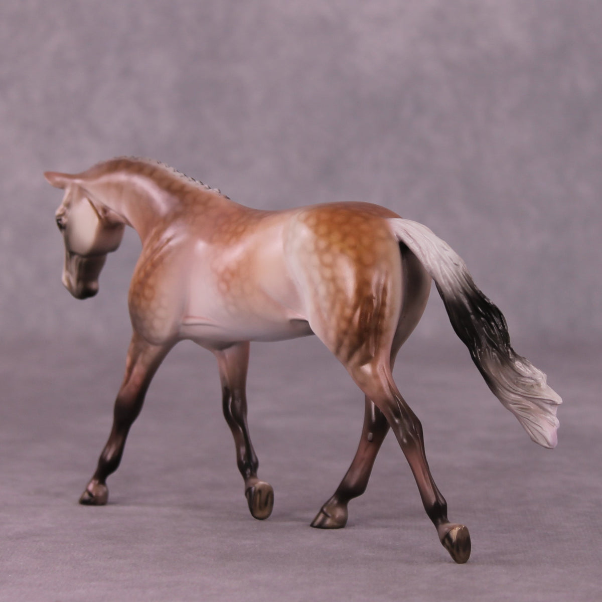 A Rose Is A Rose or Roses In December Pebble Warmblood by Dawn Quick FS25
