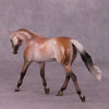 &quot;A Rose Is A Rose&quot; or &quot;Roses In December&quot; Pebble Warmblood By Dawn Quick June Flower Series FS25