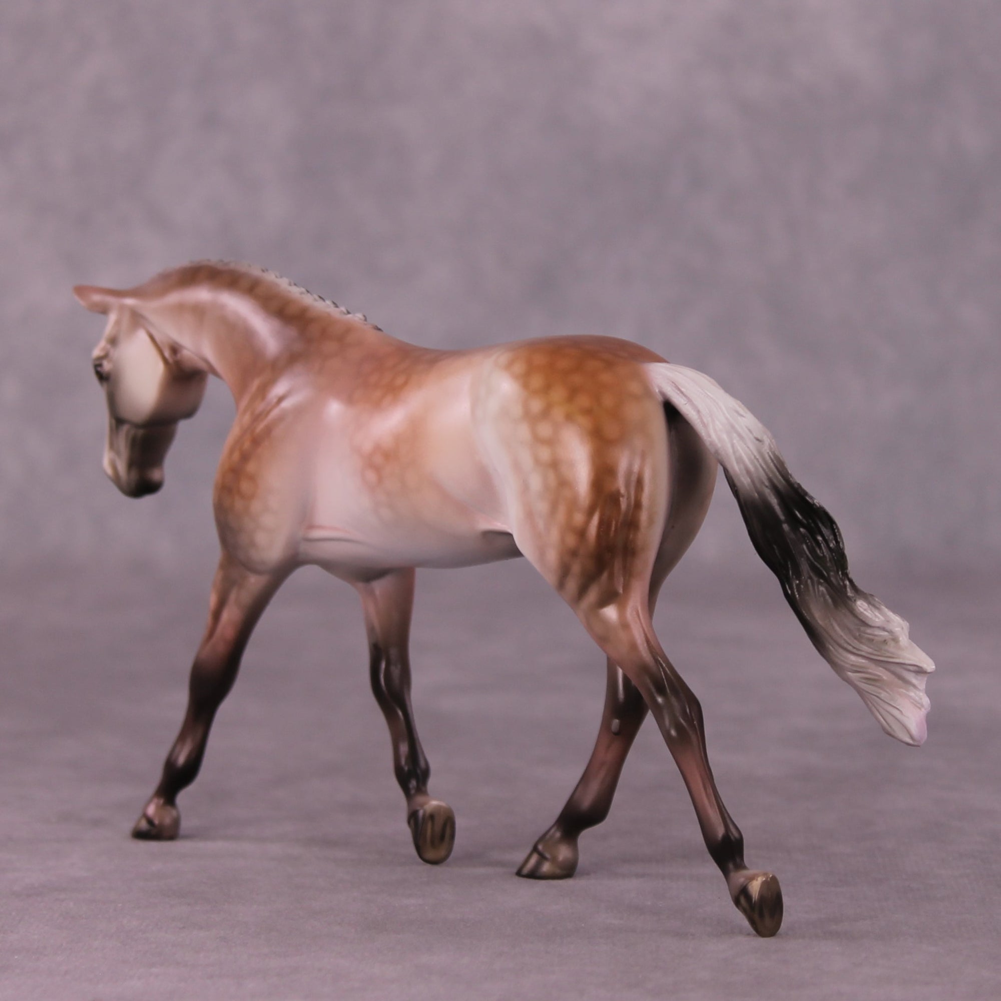 A Rose Is A Rose or Roses In December Pebble Warmblood by Dawn Quick FS25