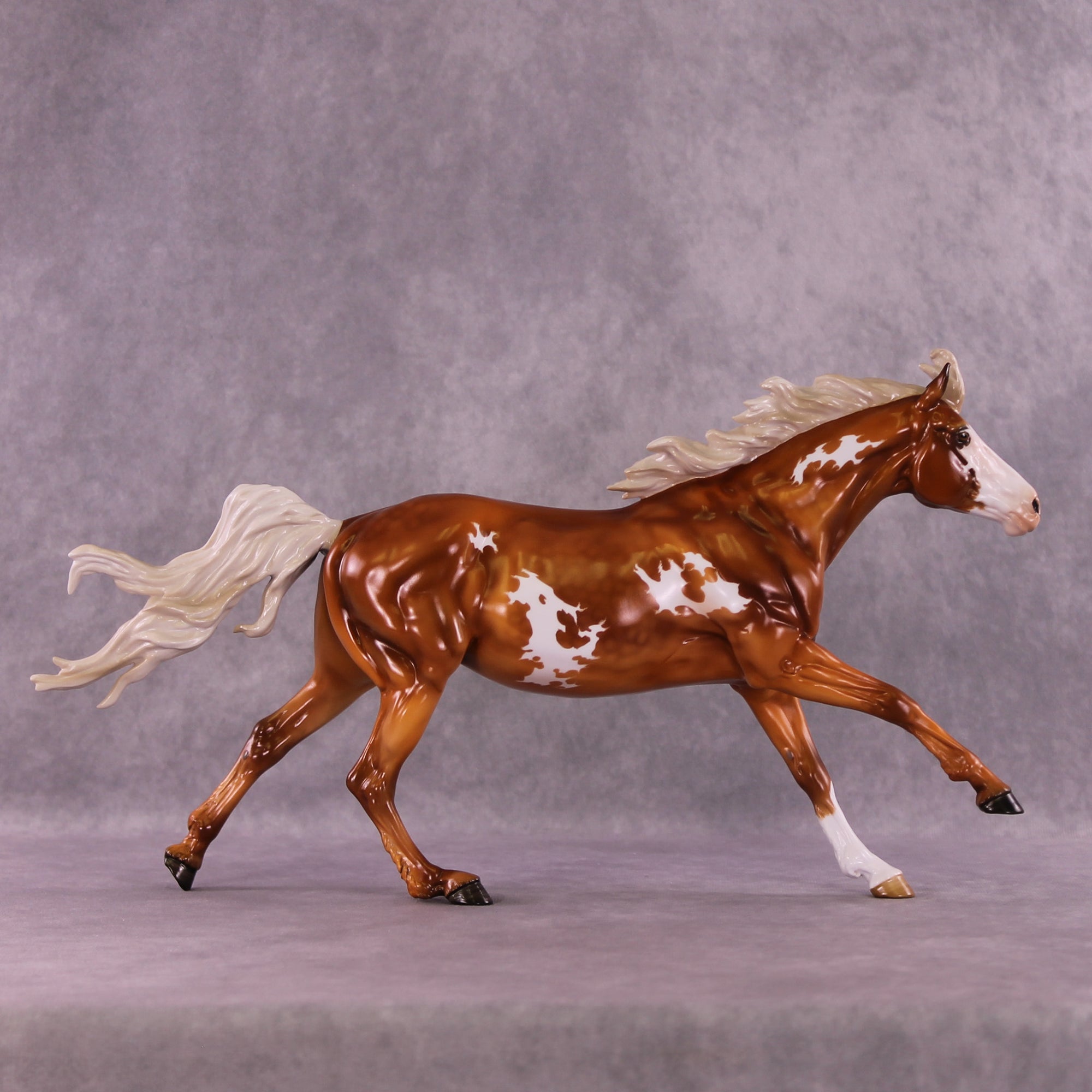 Hamuna FCM Volo by Angela Marleau 11/25/2025 SS1125