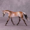 &quot;A Rose Is A Rose&quot; or &quot;Roses In December&quot; Pebble Warmblood By Dawn Quick June Flower Series FS25