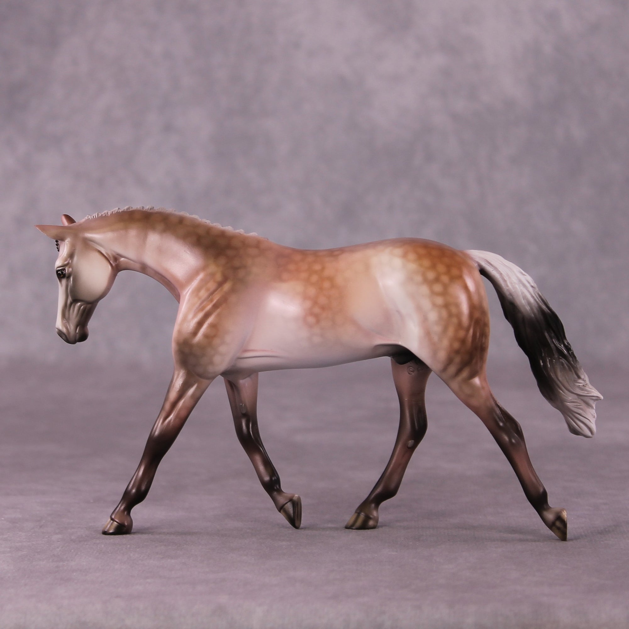 A Rose Is A Rose or Roses In December Pebble Warmblood by Dawn Quick FS25